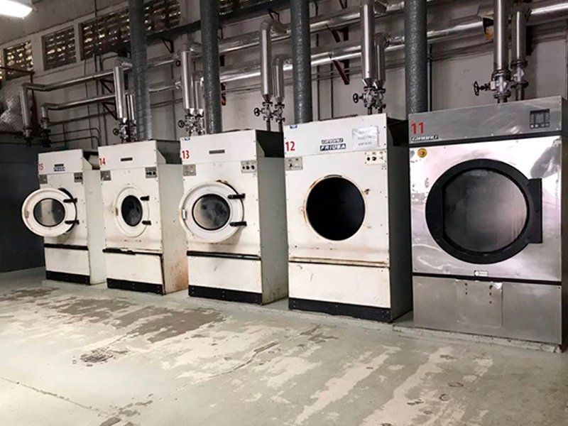 Problemas comunes en el área de lavandería | MANISA